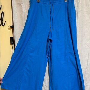Wide Leg Drawstring Pants in Vibrant Blue